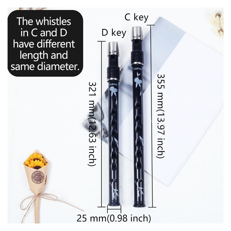 ABLB-6 Holes Irish Tin Penny W - Penny Whistle D recension och pris