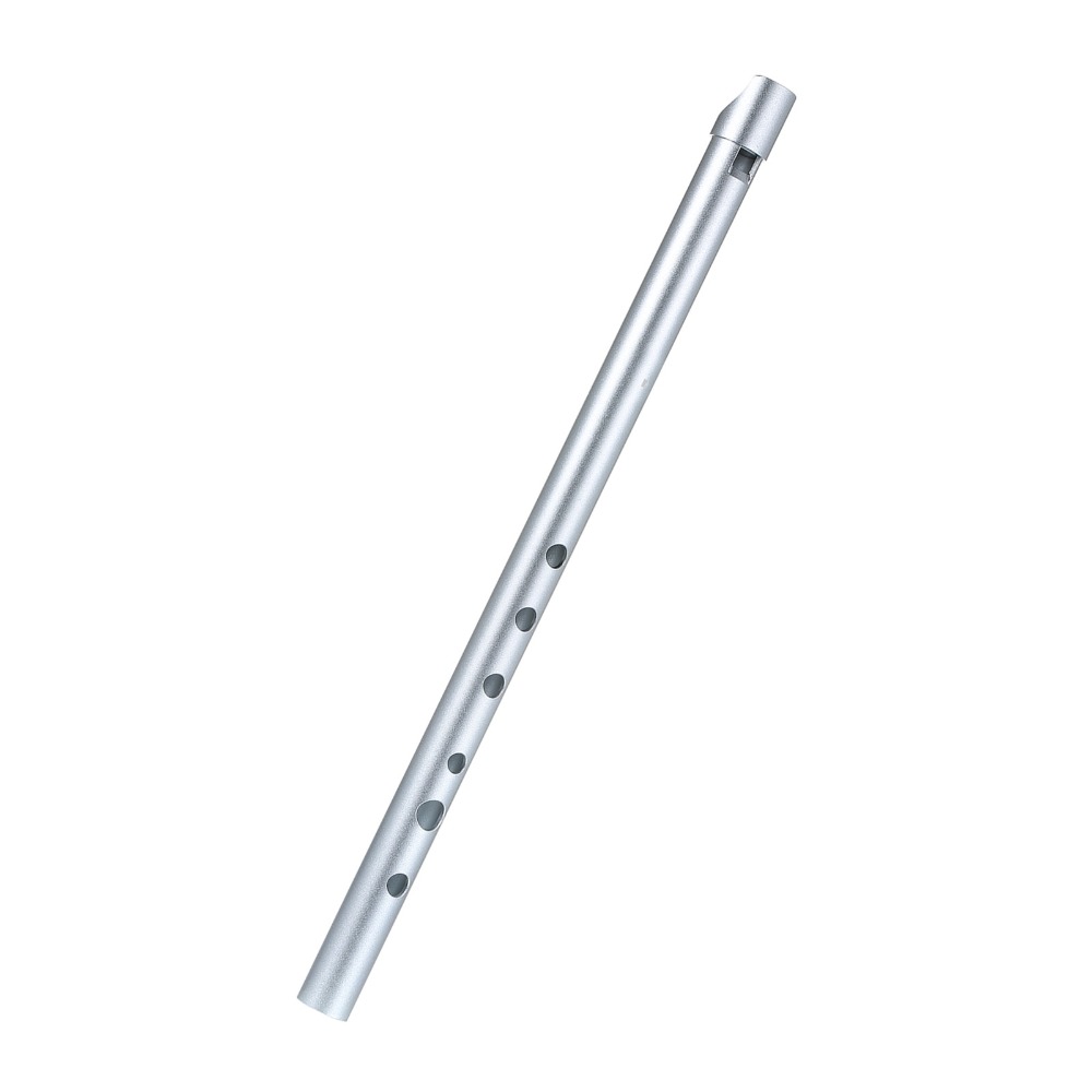 Professional Key of D Irish Wh - Penny Whistle D recension och pris