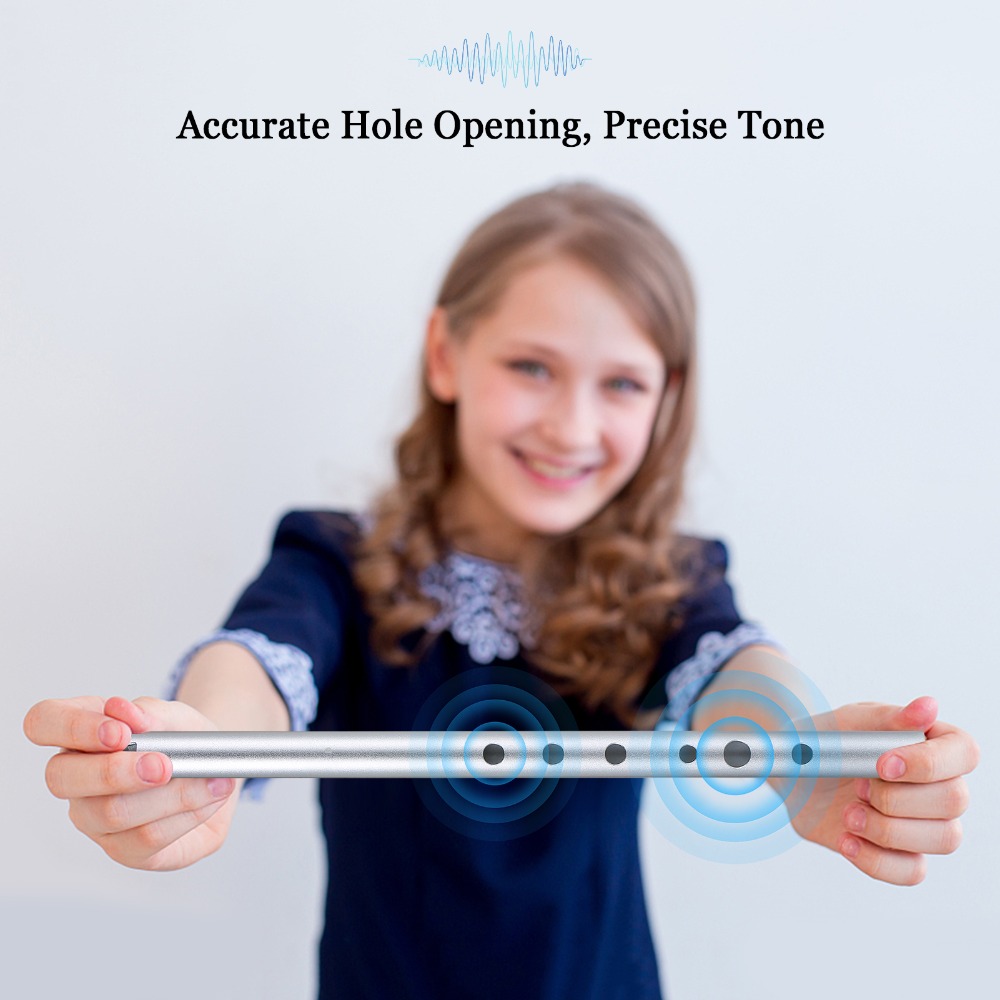 Professional Key of D Irish Wh - Penny Whistle D recension och pris
