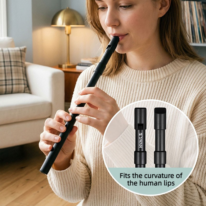 C/D Key Tin Whistle Beginner P - Penny Whistle D recension och pris